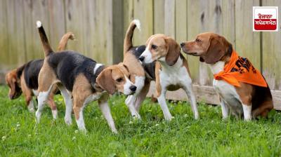 Woman severely beats up three children of neighbours after complaining about her pet dog