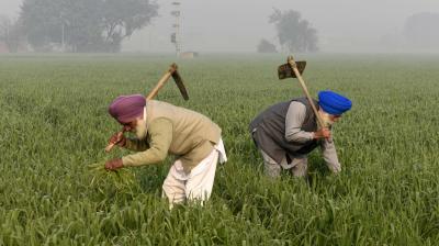 Image: For representation purpose only. 