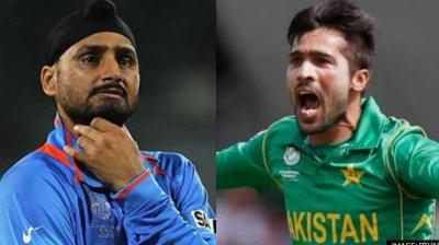 Harbhajan Singh and Mohammad Amir