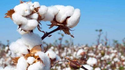 Image: For representation purpose only