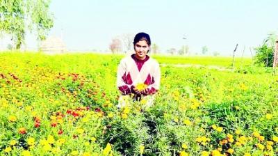 Amanjit Kaur of Kulrian village in Mansa district cultivates flowers