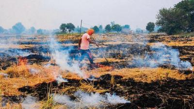  The Center rejected the offer to give cash to the farmers who did not burn the stubble