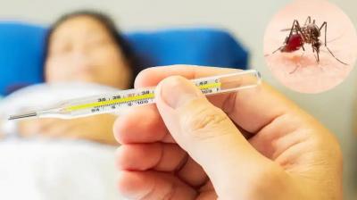 Dengue cases in Punjab