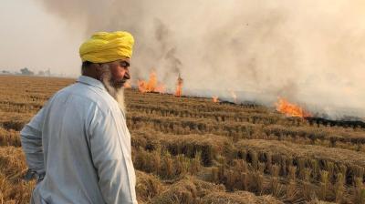Stubble Burning News