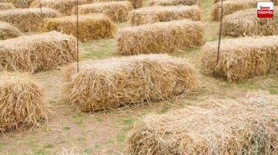 Biogas Association calls stubble a major source of energy generation