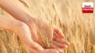 MSP by the Center Farmers are unhappy about the increase