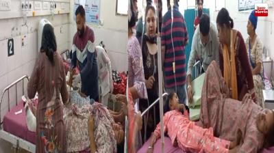 Small elephant overturns on Garhshankar-Nangal road