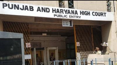 Punjab Haryana High Court 