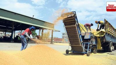 Minister Lal Kataruchak made big revelations regarding wheat procurement