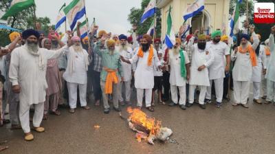 Effigies of Bhagwant Mann and the Central Government were burnt by farmer leaders in various districts of Punjab.