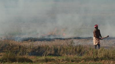 Straw Burning