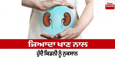 Eating too much causes kidney damage Health News