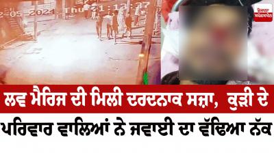 Son in law cut nose Rajasthan News in punjabi 