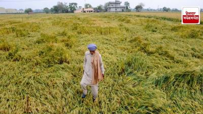 Farmers are suffering due to experts' warning of increasing heat
