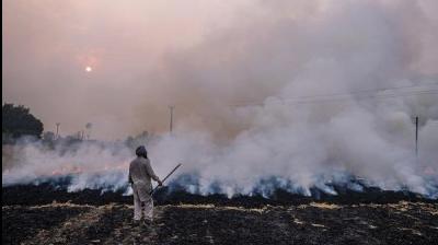 Punjab, Delhi plan cash incentive for farmers in border state for not burning stubble