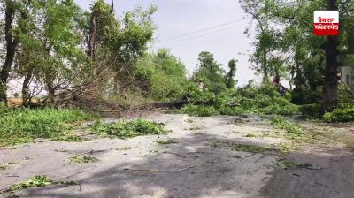 ਸੰਗਰੂਰ ’ਚ ਆਈ ਹਨੇਰੀ ਤੇ ਝੱਖੜ ਕਾਰਨ ਰਾਹਗੀਰਾਂ ਦੀਆਂ ਵਧੀਆਂ ਮੁਸ਼ਕਲਾਂ