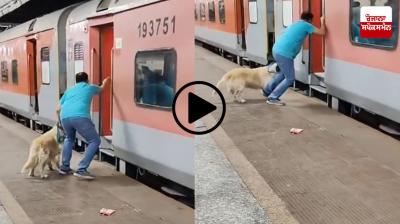 Dog run over by train viral video latest News in punjabi 