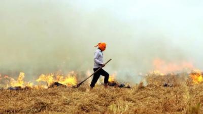 Stubble burning in Punjab 