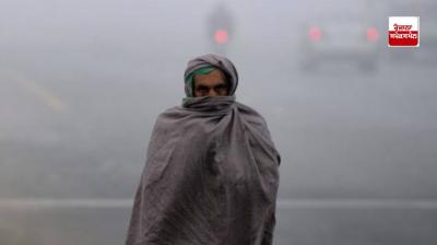 Punjab Weather Update Yellow Alert for dense fog Latest news in punjabi