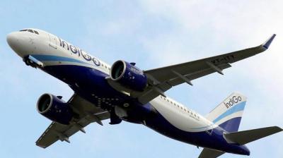 International Flight Ban