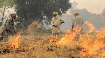 Reduction in stubble burning cases