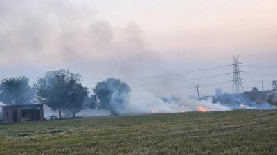 Faridkot Stubble burning