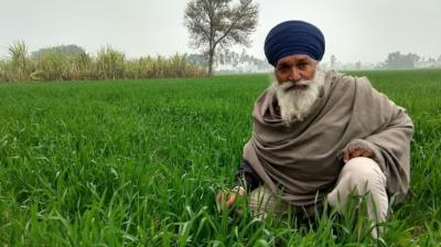 What reforms are needed in Punjab's agriculture