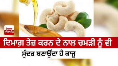 Cashew makes skin beautiful along with stimulating brain