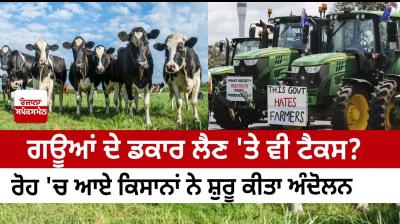 New Zealand farmers protest world’s first livestock ‘burp tax’