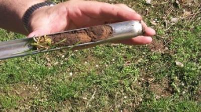 The use of balanced fertilizers increases the yield of crops