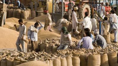 Change in process of purchasing wheat for safety of farmers