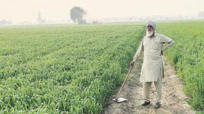 pm kisan yojana