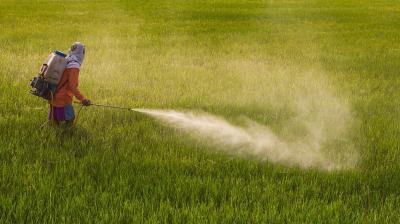 Pesticides Farmer danger effect 