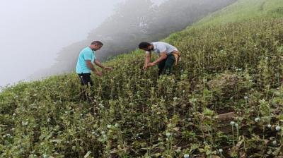 Image: For representation purpose only