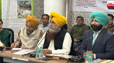 Punjab Government launches free tetanus vaccination campaign for horses, donkeys and mules