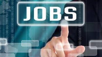 Government Jobs in 2022