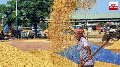 The Center has purchased 60.63 lakh tonnes of paddy in Punjab
