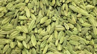   Fennel Seeds 