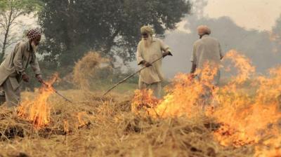 STUBBLE BURNING CASES IN PUNJAB CONTINUE TO DECLINE FOR THIRD DAY