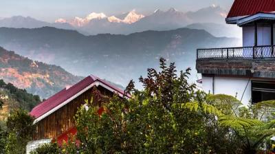 More tourists visited hornbill festival 2019 than previous year