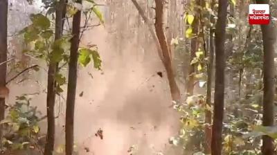 ਵੱਡੀ ਖ਼ਬਰ : ਝਾਰਖੰਡ ਦੇ ਸਾਰੰਡਾ ਜੰਗਲ 'ਚ ਆਈਈਡੀ ਧਮਾਕਾ