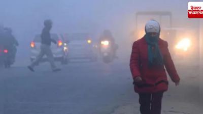 Punjab Weather Update: Cold wave alert in 8 districts of Punjab