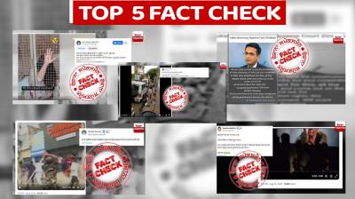 From Nuh violence to girl captured in steel cage read top 5 fact checks