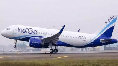 indigo flight abu dhabi to delhi diverted to muscat