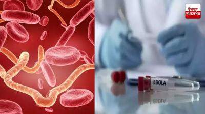 China Create new virus 