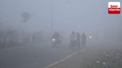 Cold wave continues in Haryana and Punjab