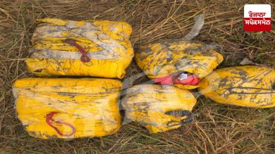 Police and BSF arrest 20 kg heroin and four smugglers from Indian border