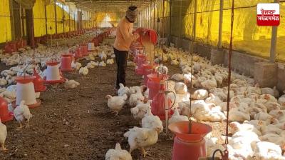 Jharkhand Avian Flu News in punjabi 