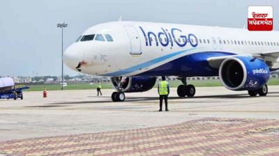 Vulture collides with IndiGo plane at 4000 feet, emergency landing made at Ranchi airport