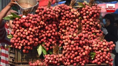  ਭਾਰਤ ਨੇ ਪਠਾਨਕੋਟ ਤੋਂ ਕਤਰ ਨੂੰ ਗੁਲਾਬ ਦੀ ਖੁਸ਼ਬੂ ਵਾਲੀ ਲੀਚੀ ਦੀ ਪਹਿਲੀ ਖੇਪ ਭੇਜੀ ਗਈ